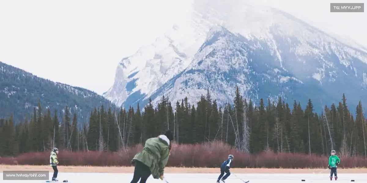 行业领先的理由