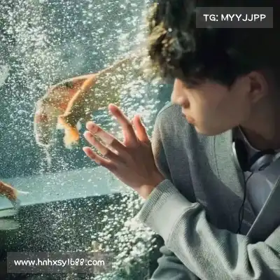 吴卓焘